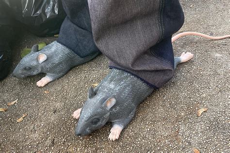 rubber rat shoes.